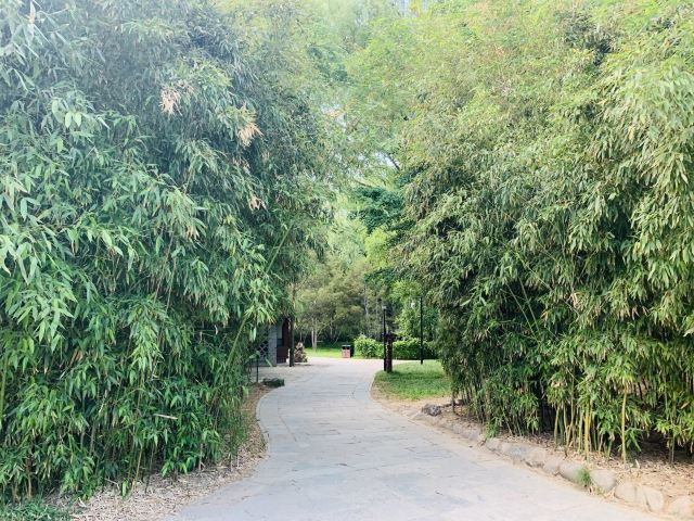 柳荫公园旅行图片 3