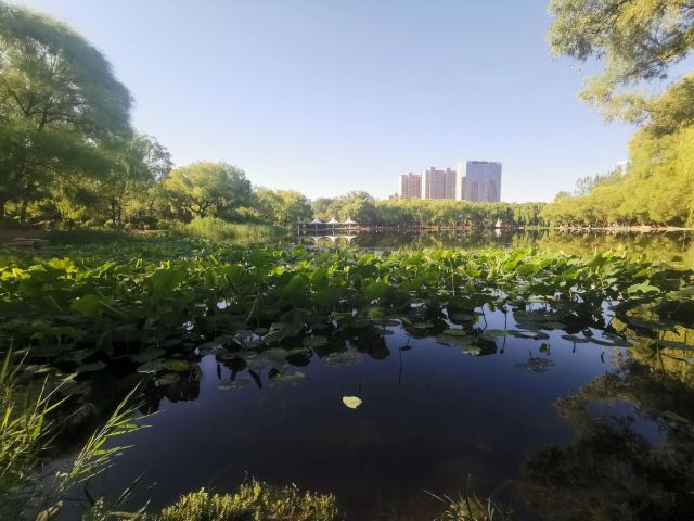 青城公园旅行图片 1