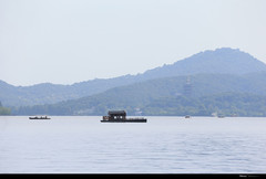 西湖风景名胜区游记图片] 醉美西湖八月天