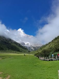 稻城亚丁-冲古草甸-稻城-涛涛讨喜w