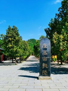 乾陵-乾县-jun****ur