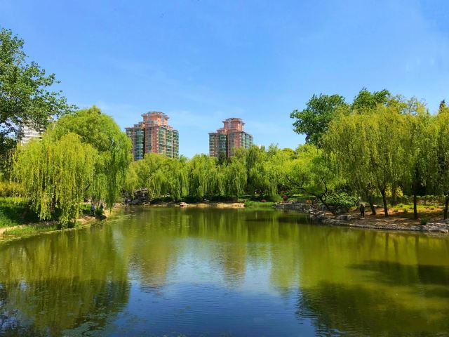 柳荫公园旅行图片 2