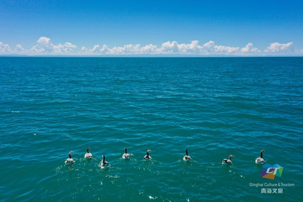 大美青海 邂逅海北——青海湖
