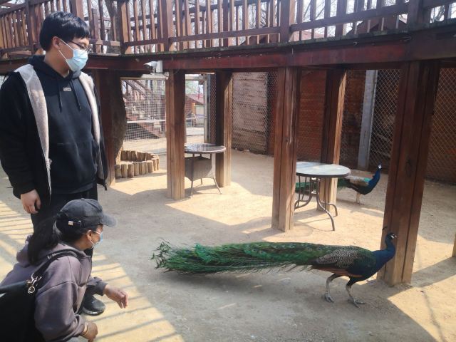 藏马山国际旅游度假区旅行图片