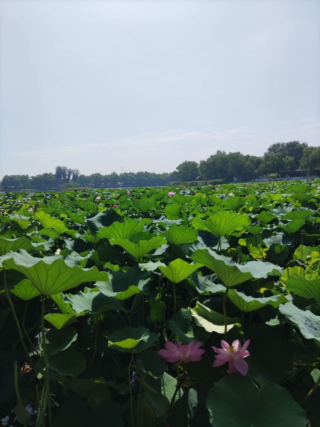 西海旅行图片 4