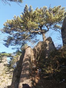 迎客松-黄山-M25****0745