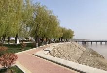 山东东阿黄河国家森林公园景点图片