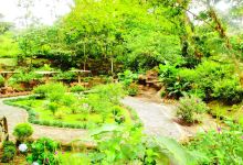 Lankester Botanical Garden景点图片