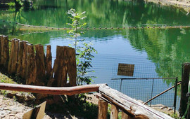 Laghetto Fonteviva