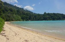 Hagachizaki Monkey Bay-南伊豆町-红妆人Nefelibata