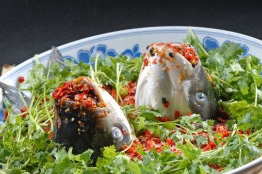 湘潭九龙鱼头(五矿尊城店)餐厅图片