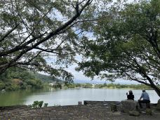 梅花湖-宜兰-岱山香橙