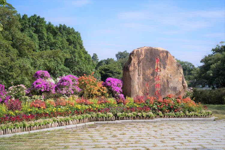 华南植物园景点图片 5