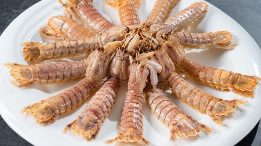 云轩海鲜饭店·冀菜(南戴河店)