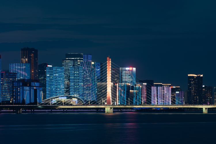钱塘江夜游(武林门码头)