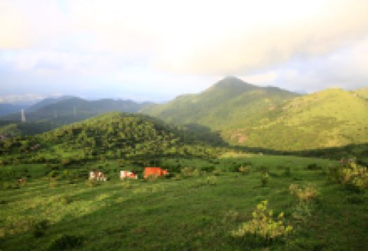 大姆山草场景点图片