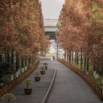 遂宁+中国观音故里灵泉风景区+广德寺+中华侏罗纪探秘旅游区+沱牌舍得文化旅游区5日4晚私家团