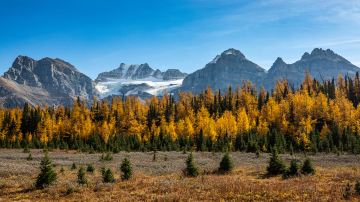 Canadian Rockies