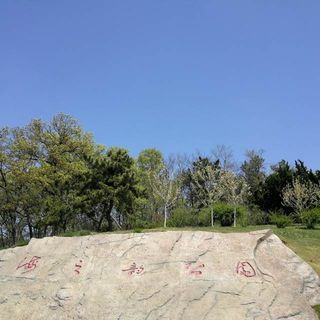 一家五口去旅行 全家人的“母亲节”