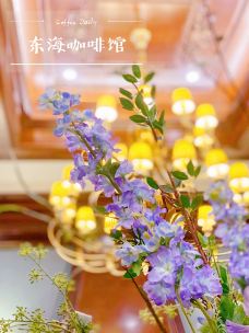 东海咖啡馆-上海-寂寞的西瓜