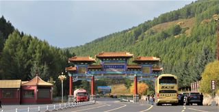 金秋塞北自驾游-塞罕坝森林公园