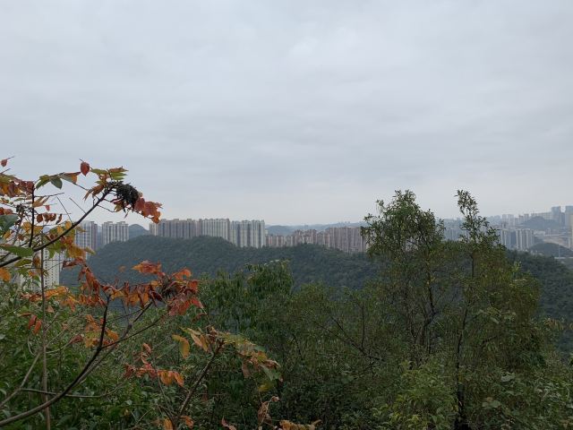 云贵山山头公园旅行图片 7