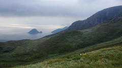 宁德游记图片] 忽闻海上有仙山，海上天湖，万亩草原——福鼎嵛山岛