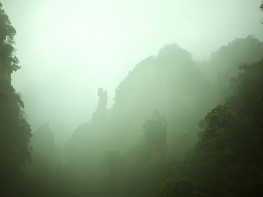 采药老人