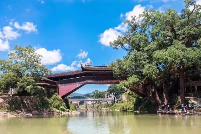 泰顺廊桥文化园旅行图片 2