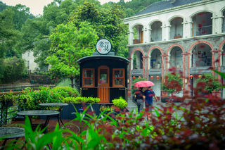 有你陪伴的莫干山，花开花落花满天