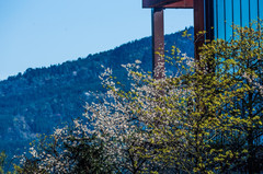 雅安游记图片] 海子山高山森林旅游，从成都出发只要2小时