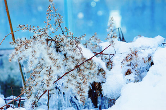 一场说走就走的旅行!