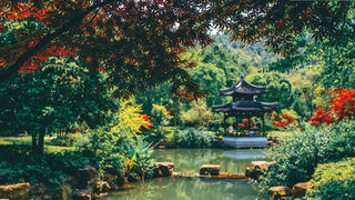 穹窿看青山秀水 木渎寻吴越风华