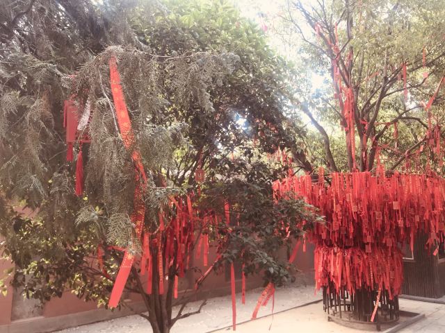 城隍庙·百年白榆树旅行图片 3