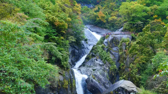 雲霧山風景區