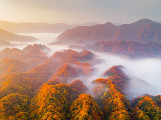 又见红叶，几度枫红—深秋光雾山