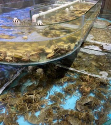 长途汽车站/临沂大学区游记图文-美食美居小蜗牛