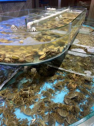 美食美居小蜗牛