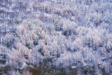 驼峰岭天池-扎兰屯-C-IMAGE