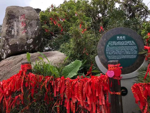 东郊椰林风景名胜区旅行图片 2