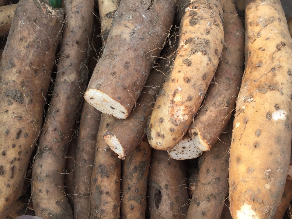 日照市农产品批发市场