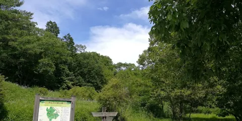 兵庫県立やしろの森公園