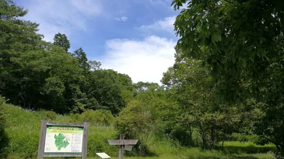 兵庫県立やしろの森公園