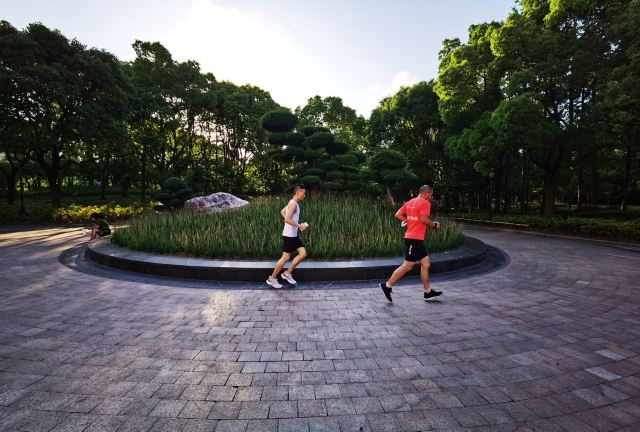 金桥公园旅行图片 5
