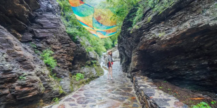 猴大王親子樂園