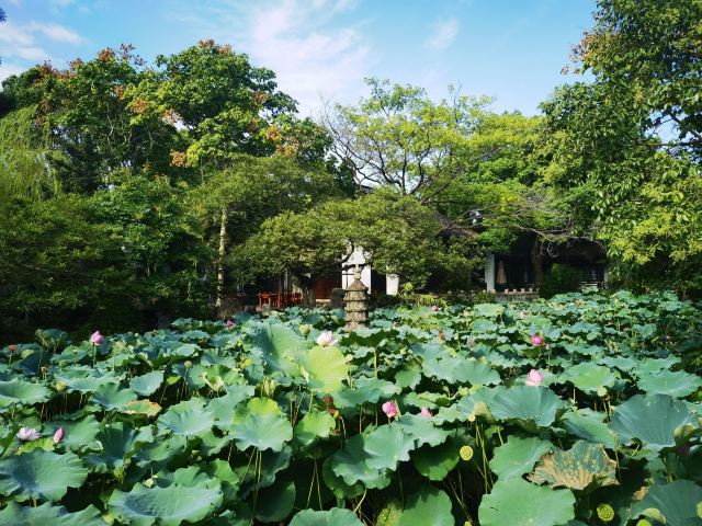 古华园旅行图片 8