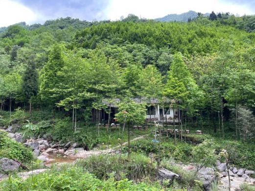 千佛山景区