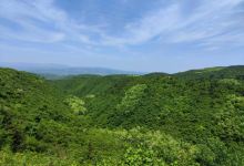 仲山森林公园景点图片