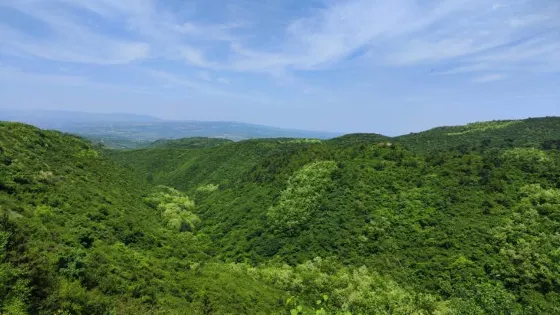 仲山森林公園