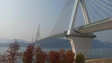 夷陵长江大桥-宜昌-M41****8629